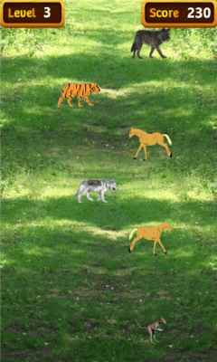 Скриншот приложения TheHuntSafari - №5