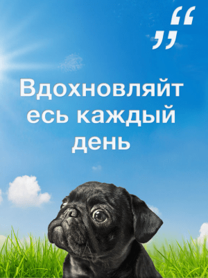 Скриншот приложения Ежедневный Цитатник: Делитесь вдохновением каждый день - №4