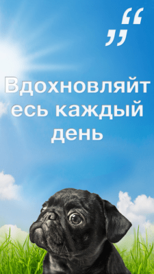 Скриншот приложения Ежедневный Цитатник: Делитесь вдохновением каждый день - №7