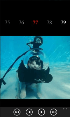 Скриншот приложения FunnyPictures - №4