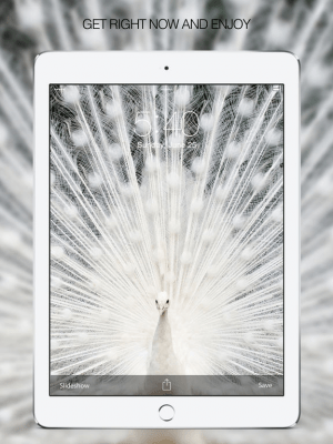 Скриншот приложения Rare Photos - №3