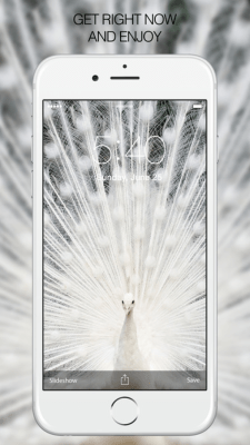 Скриншот приложения Rare Photos - №6