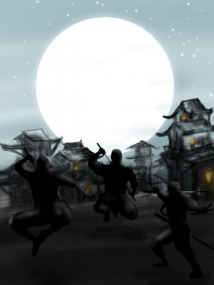 Скриншот приложения How to Be a Ninja in Real Life - №4