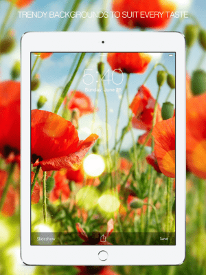 Скриншот приложения Flower Wallpapers - №2