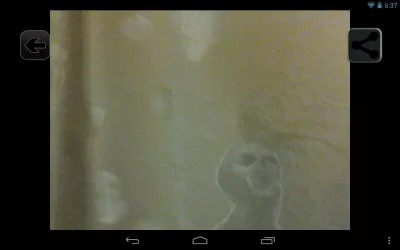 Скриншот приложения Поиск призраков - №5