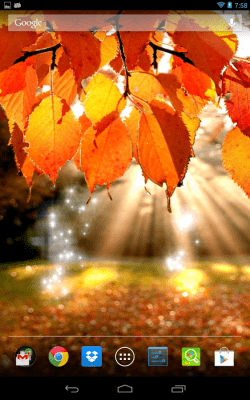 Скриншот приложения Осенний свет - №5