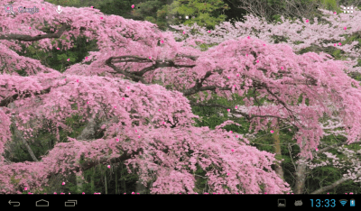 Скриншот приложения Сакура - №5