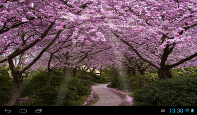 Скриншот приложения Сакура - №6