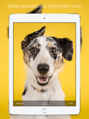 Скриншот приложения Pet Photography - №3