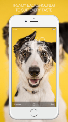 Скриншот приложения Pet Photography - №4