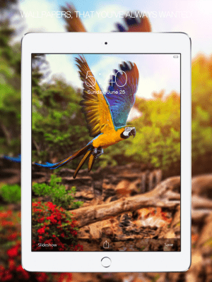 Скриншот приложения Pet Photography - №6