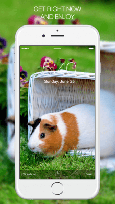 Скриншот приложения Pet Photography - №7