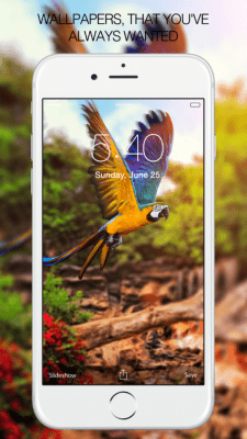 Скриншот приложения Pet Photography - №10