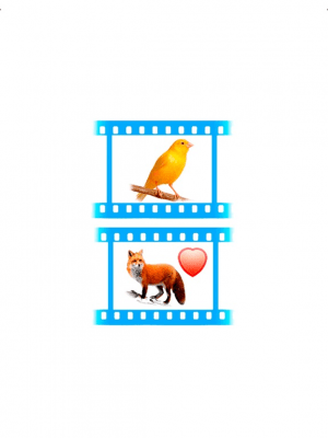 Скриншот приложения Звуки Фауны - №3