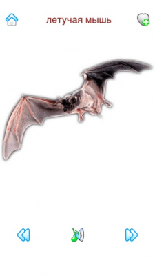 Скриншот приложения Звуки Фауны - №5