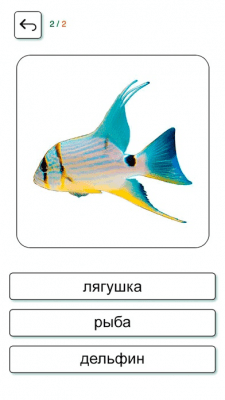 Скриншот приложения Учим и играем. Русский. free - №6