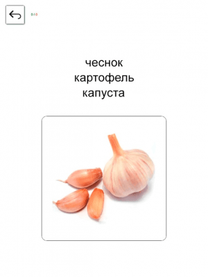 Скриншот приложения Учим и играем. Русский. free - №9