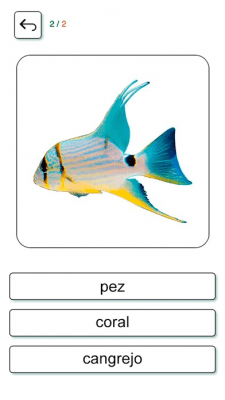 Скриншот приложения Учим и играем. Испанский + - №10