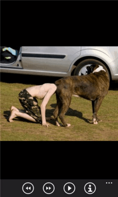 Скриншот приложения Идеально приурочен фотографии бесплатно - №4