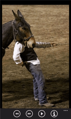 Скриншот приложения Идеально приурочен фотографии бесплатно - №5