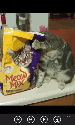 Скриншот приложения Идеально приурочен фотографии бесплатно - №6