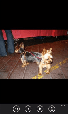 Скриншот приложения Идеально приурочен фотографии бесплатно - №7