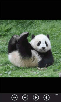Скриншот приложения Милые панды бесплатно - №4