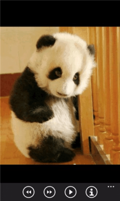 Скриншот приложения Милые панды бесплатно - №6