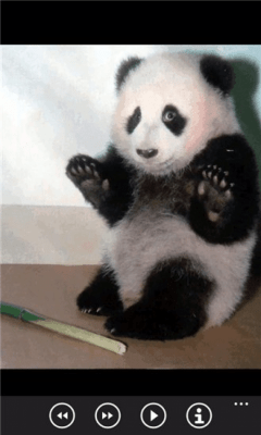 Скриншот приложения Милые панды бесплатно - №7