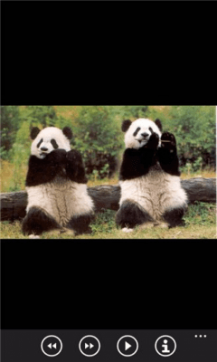 Скриншот приложения Милые панды бесплатно - №8
