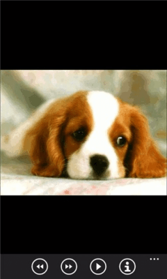 Скриншот приложения Щенки бесплатно - №3