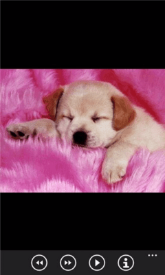 Скриншот приложения Щенки бесплатно - №4