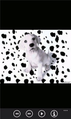Скриншот приложения Щенки бесплатно - №5