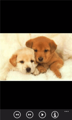Скриншот приложения Щенки бесплатно - №6