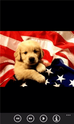 Скриншот приложения Щенки бесплатно - №7