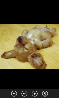 Скриншот приложения Щенки бесплатно - №8