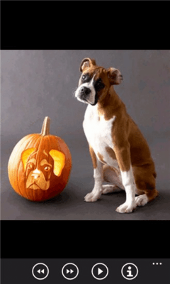 Скриншот приложения Pumpkin Carvings FREE - №5