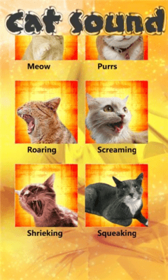 Скриншот приложения cat sounds - №4