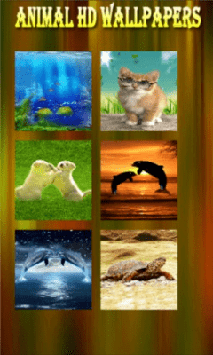Скриншот приложения Hd Wallpaper - №5