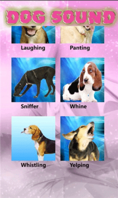 Скриншот приложения Dogs Sounds - №5