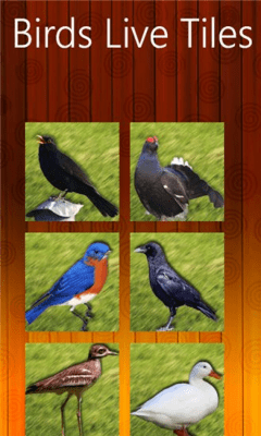 Скриншот приложения Birds Live Tiles - №2