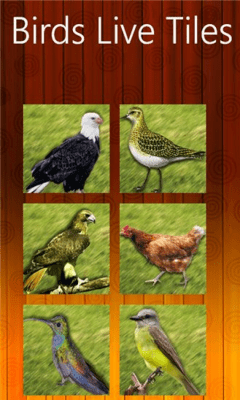 Скриншот приложения Birds Live Tiles - №3
