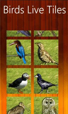 Скриншот приложения Birds Live Tiles - №4