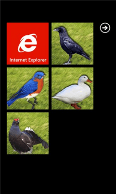 Скриншот приложения Birds Live Tiles - №6