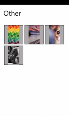 Скриншот приложения Picasa WP - №3