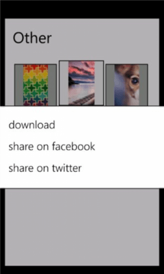 Скриншот приложения Picasa WP - №4