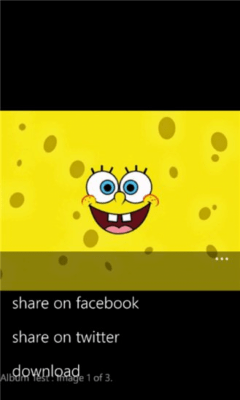 Скриншот приложения Picasa WP - №6