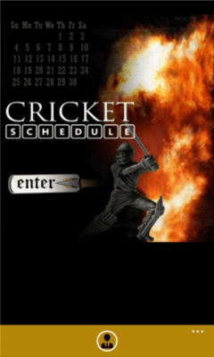 Скриншот приложения Cricket Schedule - №2