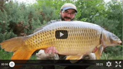 Скриншот приложения Карп Рыбалка - №3