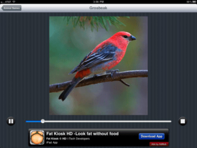 Скриншот приложения Animal Sounds HD Lite - №2